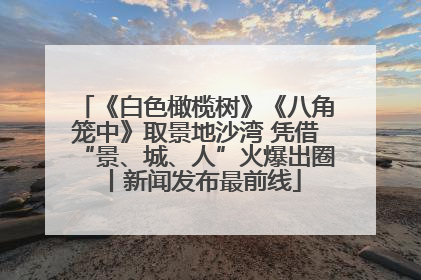 《白色橄榄树》《八角笼中》取景地沙湾 凭借“景、城、人”火爆出圈丨新闻发布最前线