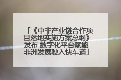 《中非产业链合作项目落地实施方案总纲》发布 数字化平台赋能非洲发展驶入快车道