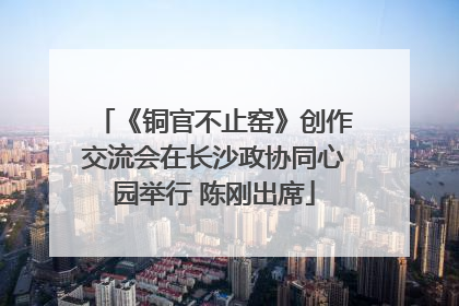 《铜官不止窑》创作交流会在长沙政协同心园举行 陈刚出席