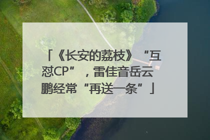 《长安的荔枝》“互怼CP”，雷佳音岳云鹏经常“再送一条”