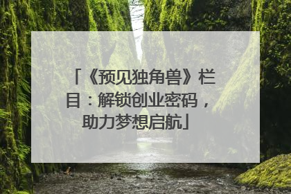 《预见独角兽》栏目：解锁创业密码，助力梦想启航