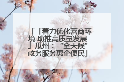 「着力优化营商环境 助推高质量发展」瓜州：“全天候”政务服务惠企便民