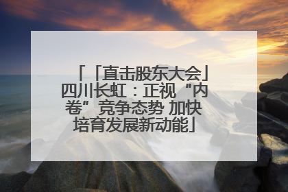 「直击股东大会」四川长虹：正视“内卷”竞争态势 加快培育发展新动能