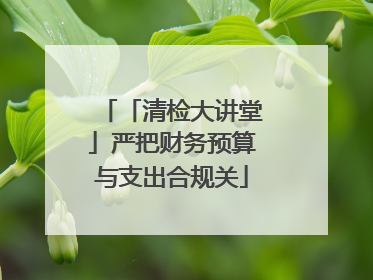 「清检大讲堂」严把财务预算与支出合规关