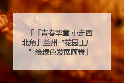 「青春华章·重走西北角」兰州“花园工厂”绘绿色发展画卷