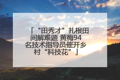 “田秀才”扎根田间解难题 黄梅94名技术指导员催开乡村“科技花”