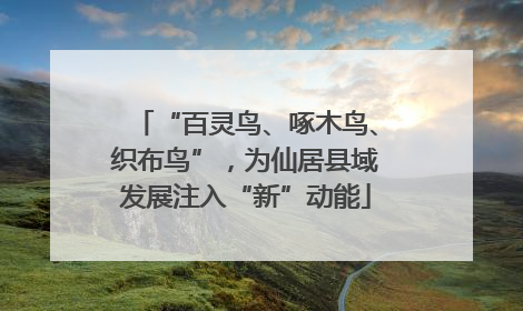 “百灵鸟、啄木鸟、织布鸟”，为仙居县域发展注入“新”动能