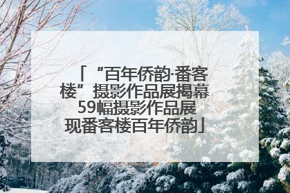 “百年侨韵·番客楼”摄影作品展揭幕 59幅摄影作品展现番客楼百年侨韵