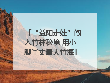 “益阳走娃”闯入竹林秘境 用小脚丫丈量大竹海