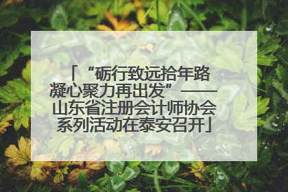 “砺行致远拾年路 凝心聚力再出发”——山东省注册会计师协会系列活动在泰安召开