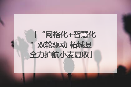 “网格化+智慧化”双轮驱动 柘城县全力护航小麦夏收