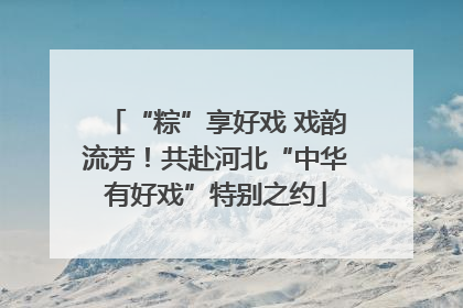 “粽”享好戏 戏韵流芳！共赴河北“中华有好戏”特别之约