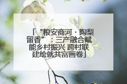 “粮安商河・陶梨留香”：三产融合赋能乡村振兴 跨村联建绘就共富画卷
