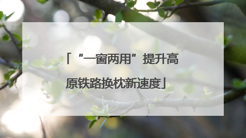 “一窗两用”提升高原铁路换枕新速度