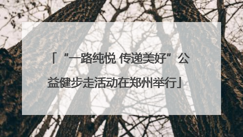 “一路纯悦 传递美好”公益健步走活动在郑州举行