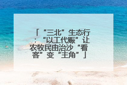 “三北”生态行：“以工代赈”让农牧民由治沙“看客”变“主角”