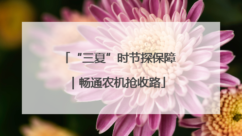 “三夏”时节探保障｜畅通农机抢收路