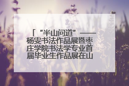 “半山问道”——杨雯书法作品展暨枣庄学院书法学专业首届毕业生作品展在山东省文化馆开幕