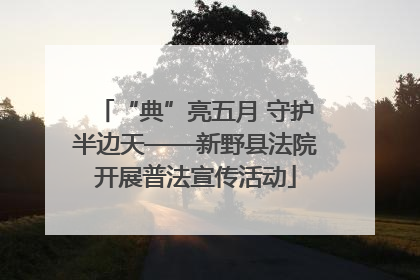 “典”亮五月 守护半边天——新野县法院开展普法宣传活动