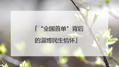 “全国首单”背后的淄博民生情怀