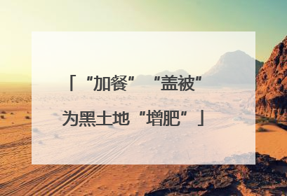 “加餐”“盖被” 为黑土地“增肥”