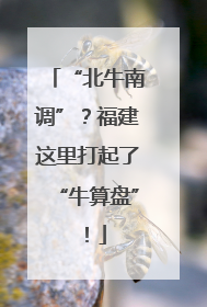 “北牛南调”？福建这里打起了“牛算盘”！