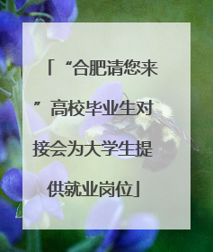 “合肥请您来”高校毕业生对接会为大学生提供就业岗位