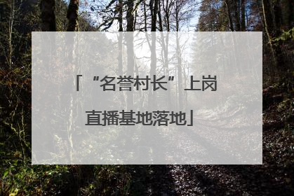 “名誉村长”上岗 直播基地落地