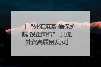 “外汇筑基 信保护航 银企同行” 共促外贸高质量发展