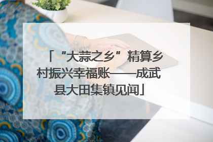 “大蒜之乡”精算乡村振兴幸福账——成武县大田集镇见闻