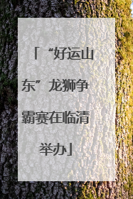 “好运山东”龙狮争霸赛在临清举办