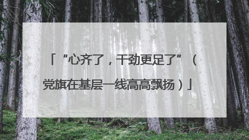 “心齐了，干劲更足了”（党旗在基层一线高高飘扬）
