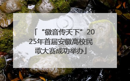 “徽音传天下”2025年首届安徽高校民歌大赛成功举办