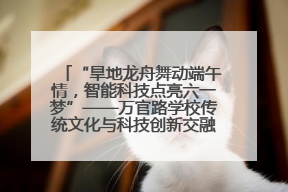 “旱地龙舟舞动端午情，智能科技点亮六一梦”——万官路学校传统文化与科技创新交融的精彩盛宴