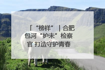 “榜样”｜合肥包河“护未”检察官 打造守护青春成长的永恒灯塔