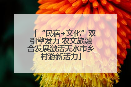 “民宿+文化”双引擎发力 农文旅融合发展激活天水市乡村游新活力
