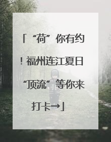 “荷”你有约！福州连江夏日“顶流”等你来打卡→