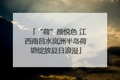 “荷”颜悦色 江西南昌水岚洲半岛荷塘绽放夏日浪漫