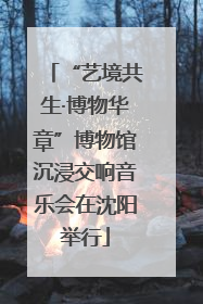 “艺境共生·博物华章”博物馆沉浸交响音乐会在沈阳举行