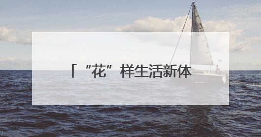 “花”样生活新体验 北京大兴区让月季走进日常生活