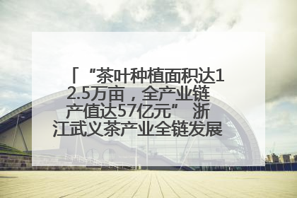 “茶叶种植面积达12.5万亩，全产业链产值达57亿元” 浙江武义茶产业全链发展“加速度”