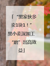 “黑家伙多卖1块1！”黑小麦深加工“磨”出高效益