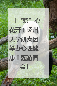 “黔”心花开！扬州大学研支团举办心理健康主题游园会