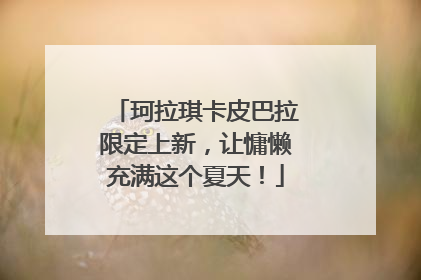 珂拉琪卡皮巴拉限定上新，让慵懒充满这个夏天！