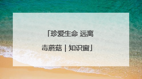 珍爱生命 远离毒蘑菇｜知识窗