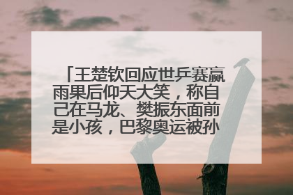 王楚钦回应世乒赛赢雨果后仰天大笑，称自己在马龙、樊振东面前是小孩，巴黎奥运被孙颖莎带着打