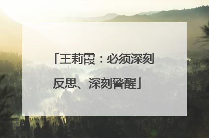 王莉霞：必须深刻反思、深刻警醒