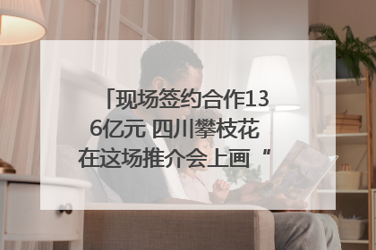 现场签约合作136亿元 四川攀枝花在这场推介会上画“图谱”列“清单”