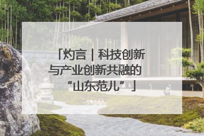 灼言｜科技创新与产业创新共融的“山东范儿”
