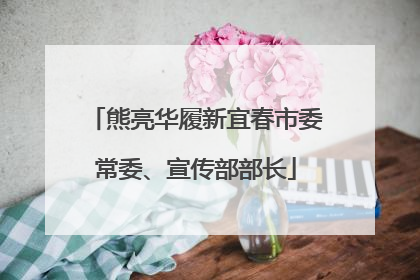 熊亮华履新宜春市委常委、宣传部部长